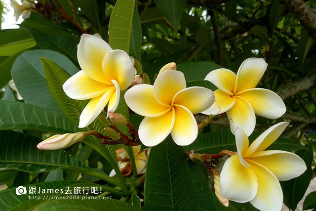 【雲林旅遊】果風巧克力工房-雲林縣斗六觀光工廠004.jpg 【雲林旅遊】果風巧克力工房-雲林縣斗六觀光工廠004.jpg