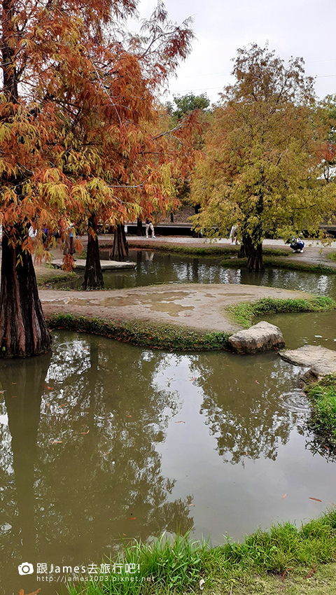 雲林景點-虎尾青埔落羽松秘境10.jpg