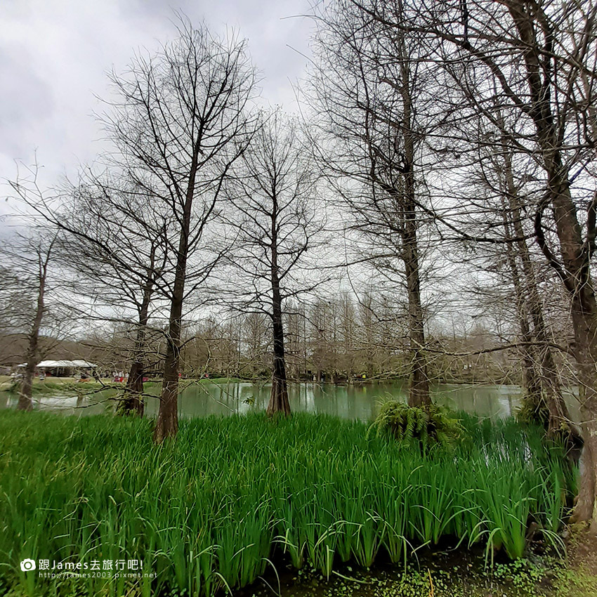 花蓮雲山水夢幻湖03.jpg