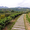 旅行聚餐推薦-鹿篙咖啡莊園06.jpg