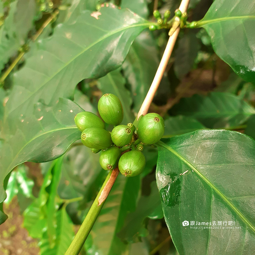 旅行聚餐推薦-鹿篙咖啡莊園07.jpg