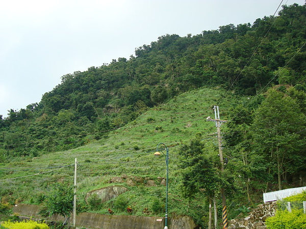 酒桶山--月光森林餐廳 (11).JPG