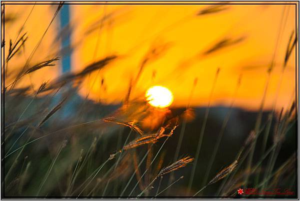 Sunset-00097