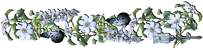 (直線圖案)花草(橫400x100)