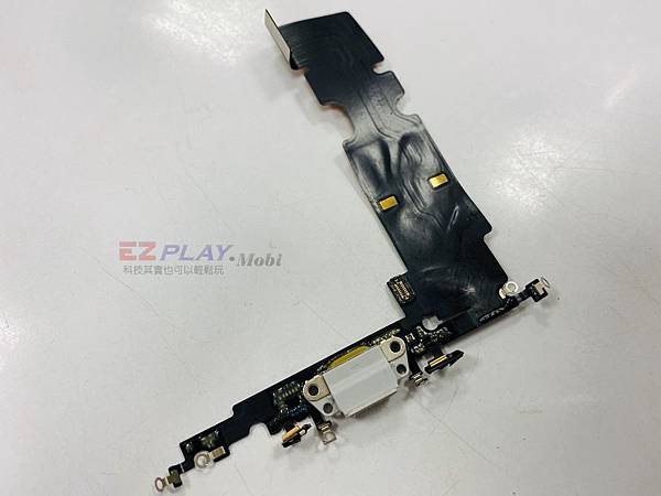 80134099_3245251088882810_1085798621833592832_o.jpg 80134099_3245251088882810_1085798621833592832_o.jpg