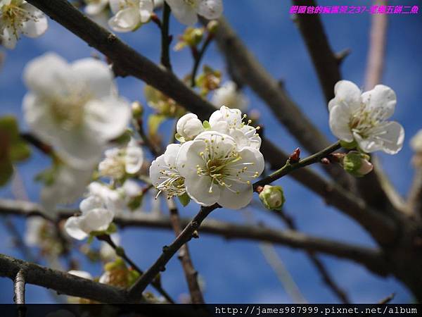 P1280775.jpg P1280775.jpg