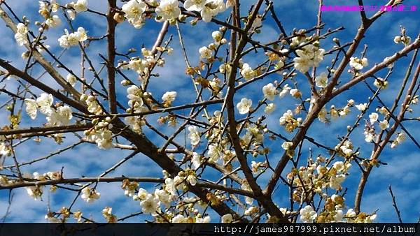 P1280773.jpg P1280773.jpg