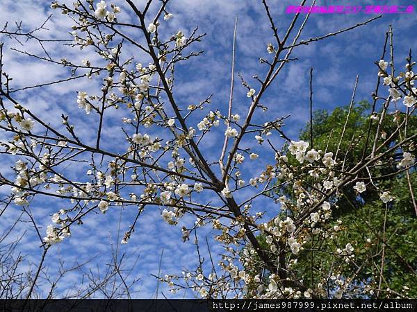 P1280771.jpg P1280771.jpg