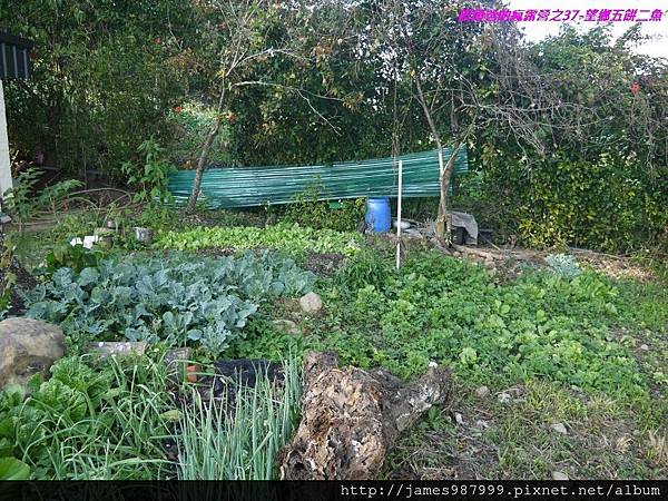 P1280800.jpg P1280800.jpg