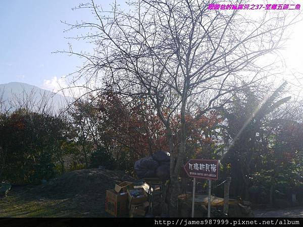 P1280817.jpg P1280817.jpg