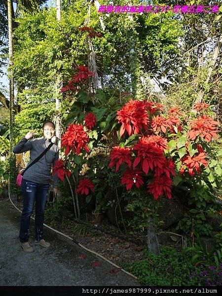 P1280825.jpg P1280825.jpg