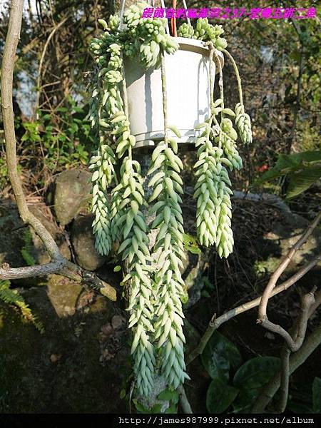 P1280829.jpg P1280829.jpg