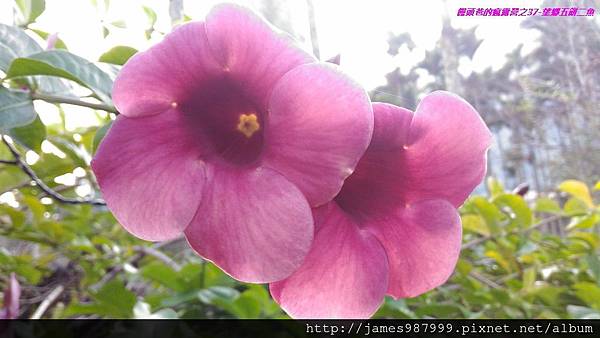 P1280831.jpg P1280831.jpg