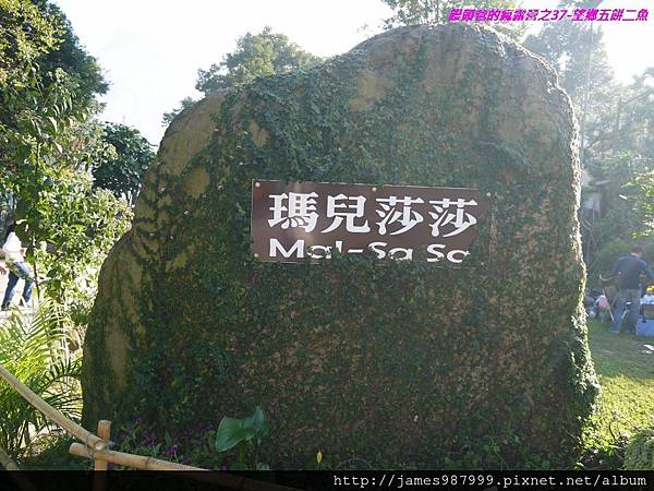 P1280828.jpg P1280828.jpg