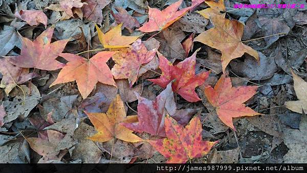 P1280835.jpg P1280835.jpg