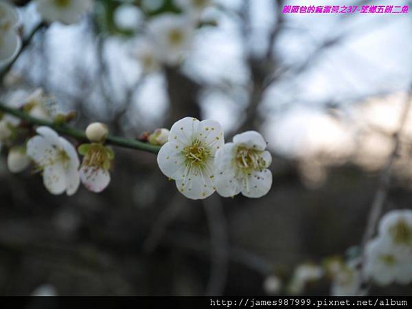 P1280876.jpg P1280876.jpg