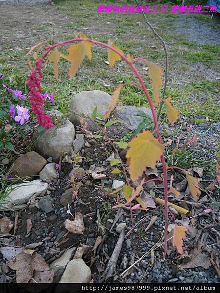 P1280896.jpg P1280896.jpg