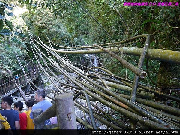 P1290029.jpg P1290029.jpg