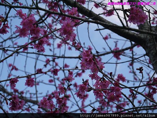 P1290065.jpg P1290065.jpg