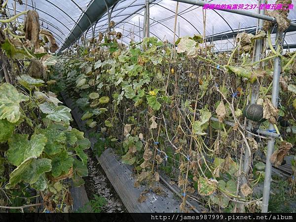 P1290067.jpg P1290067.jpg