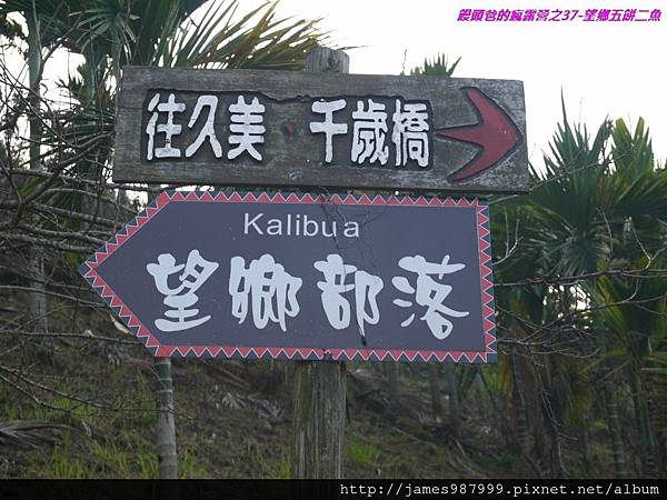 P1290079.jpg P1290079.jpg