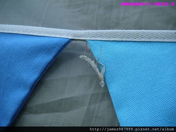 P1290114.jpg P1290114.jpg