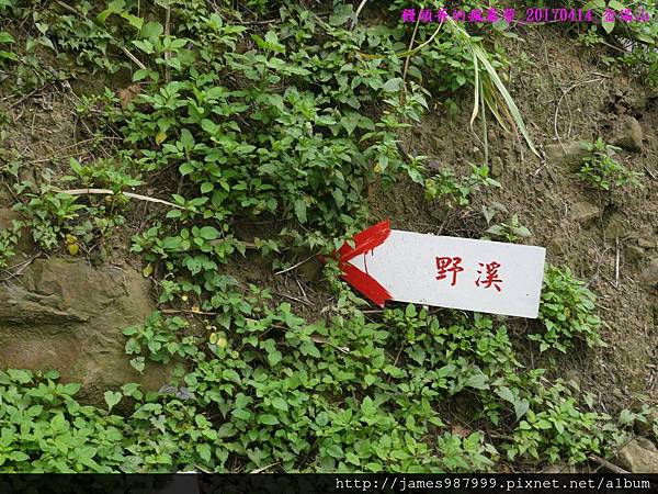 P1300649.jpg P1300649.jpg