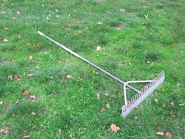 DSCF5396.JPG