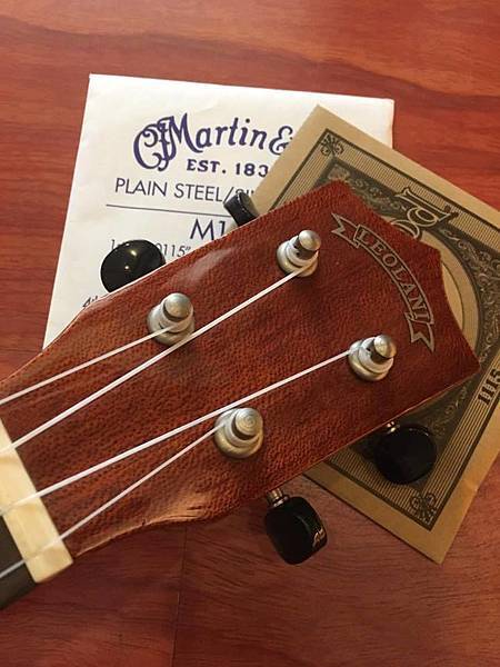 21%22亞洲相思木(頭)