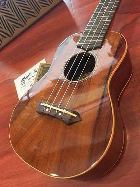 21%22亞洲相思木(側身) 21%22亞洲相思木(側身)