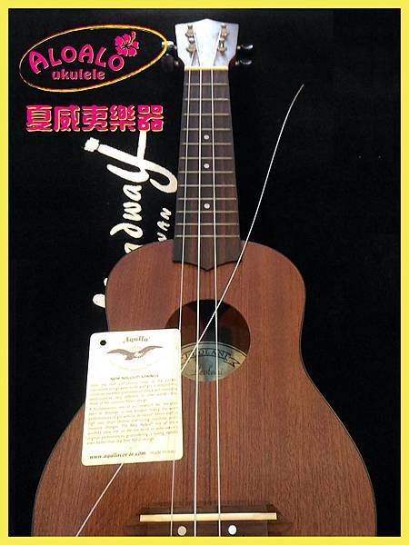 s1101換弦保養.jpg s1101換弦保養.jpg