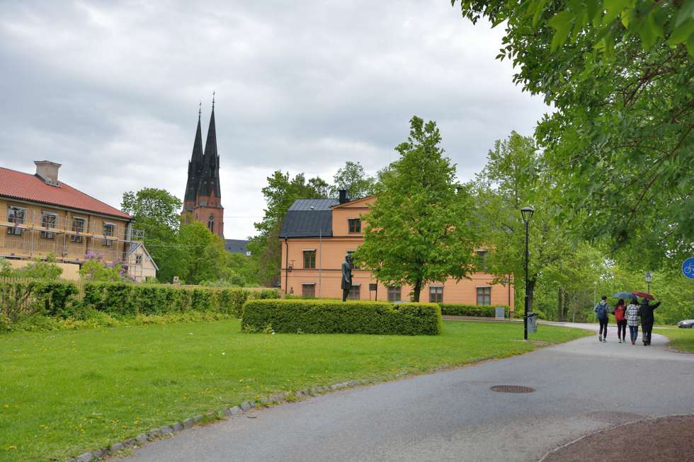 D15_3085_009 D15_3085_009