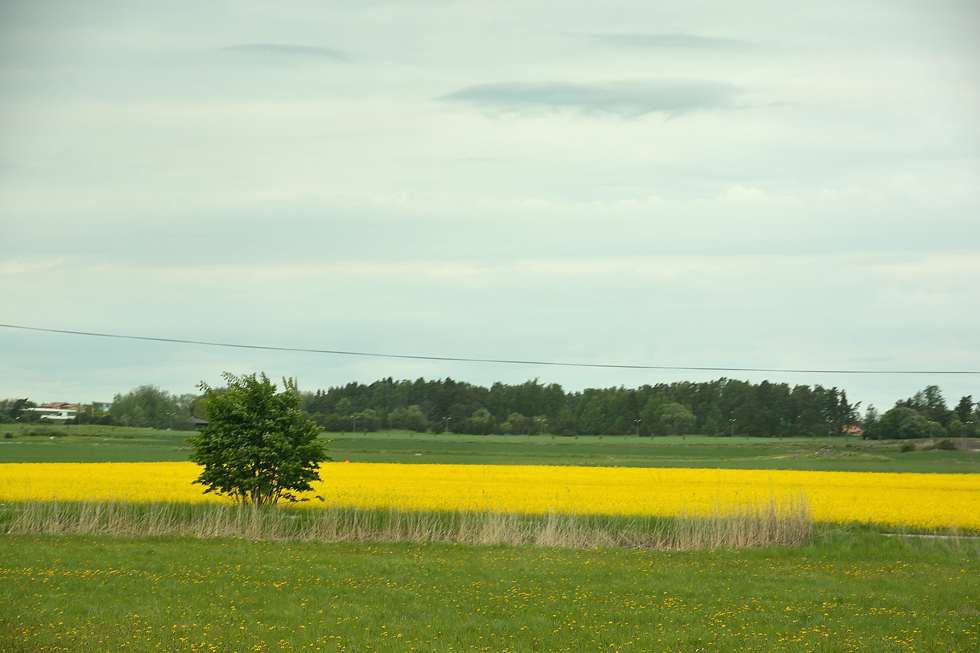 D15_3069_003 D15_3069_003