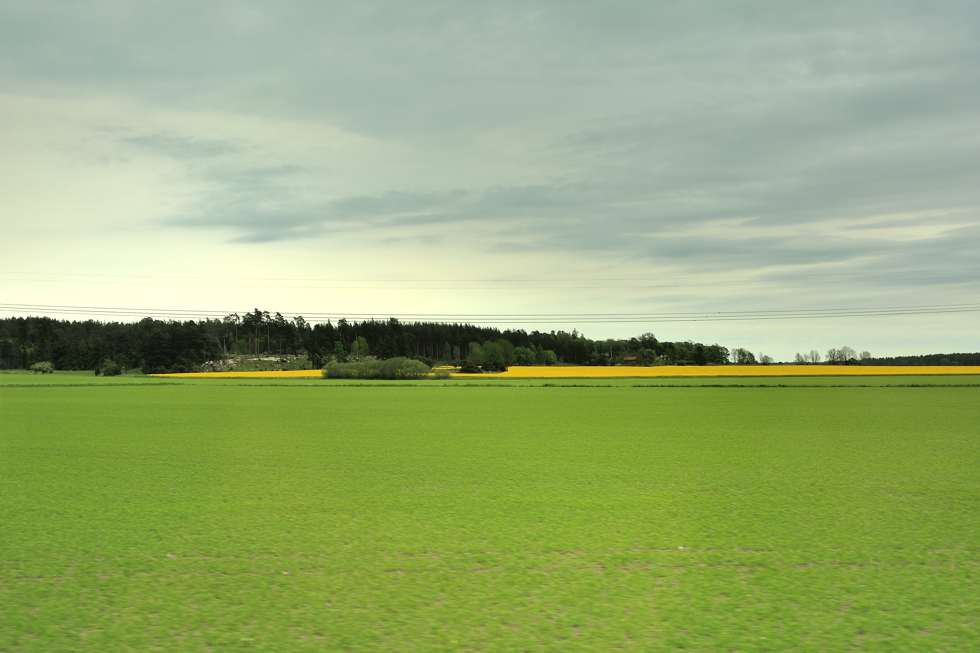 D15_3064_000 D15_3064_000