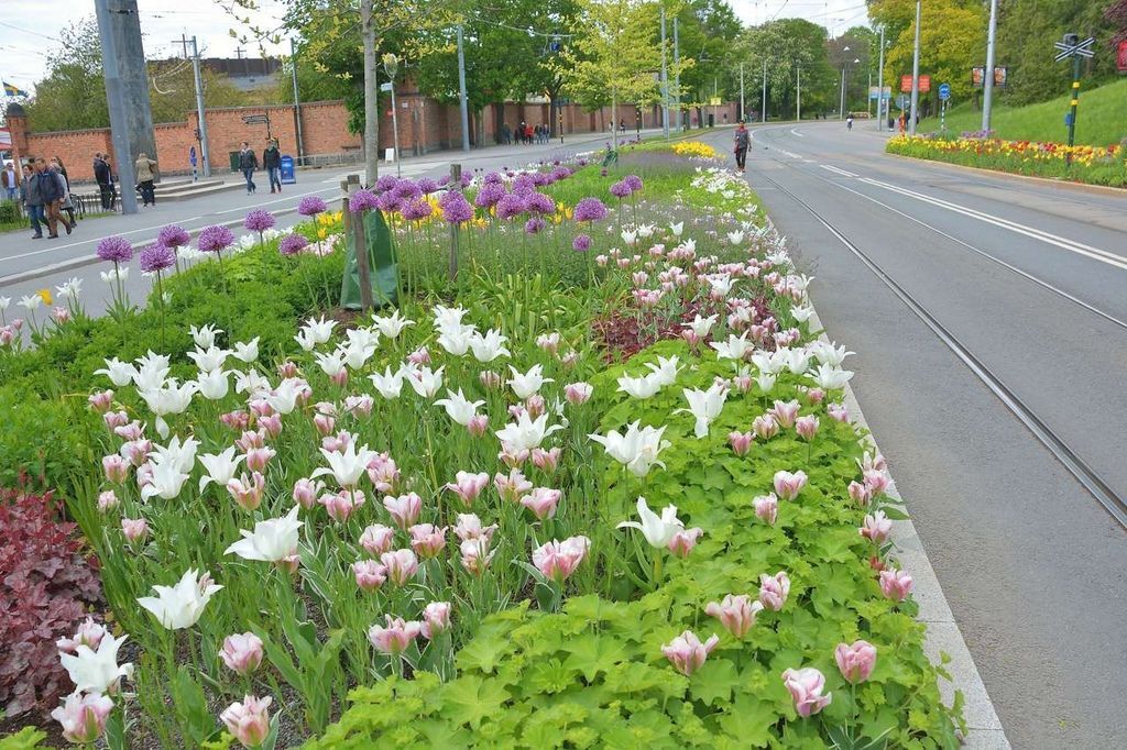 D15_3570_109 D15_3570_109