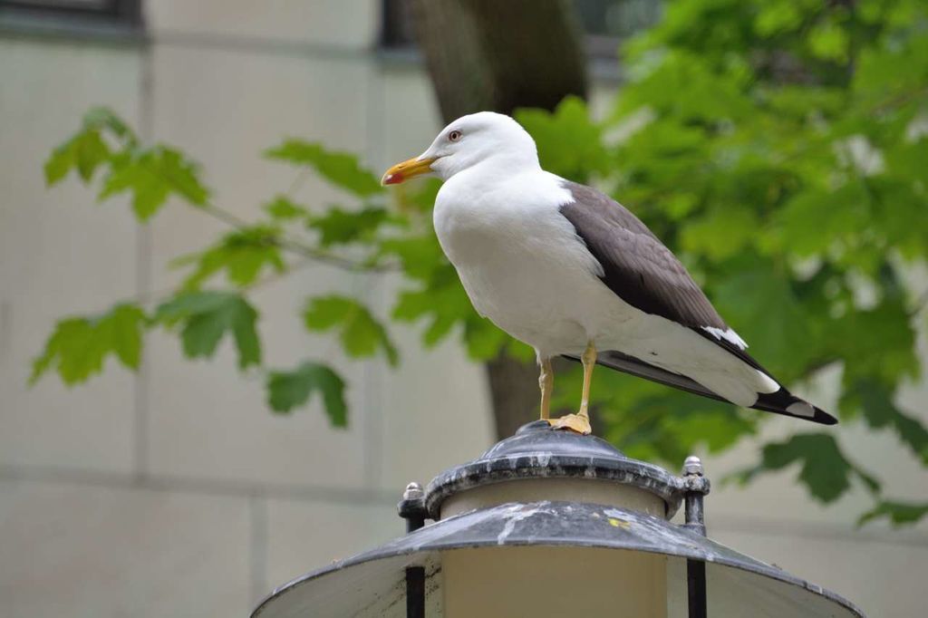 D15_3244_026 D15_3244_026