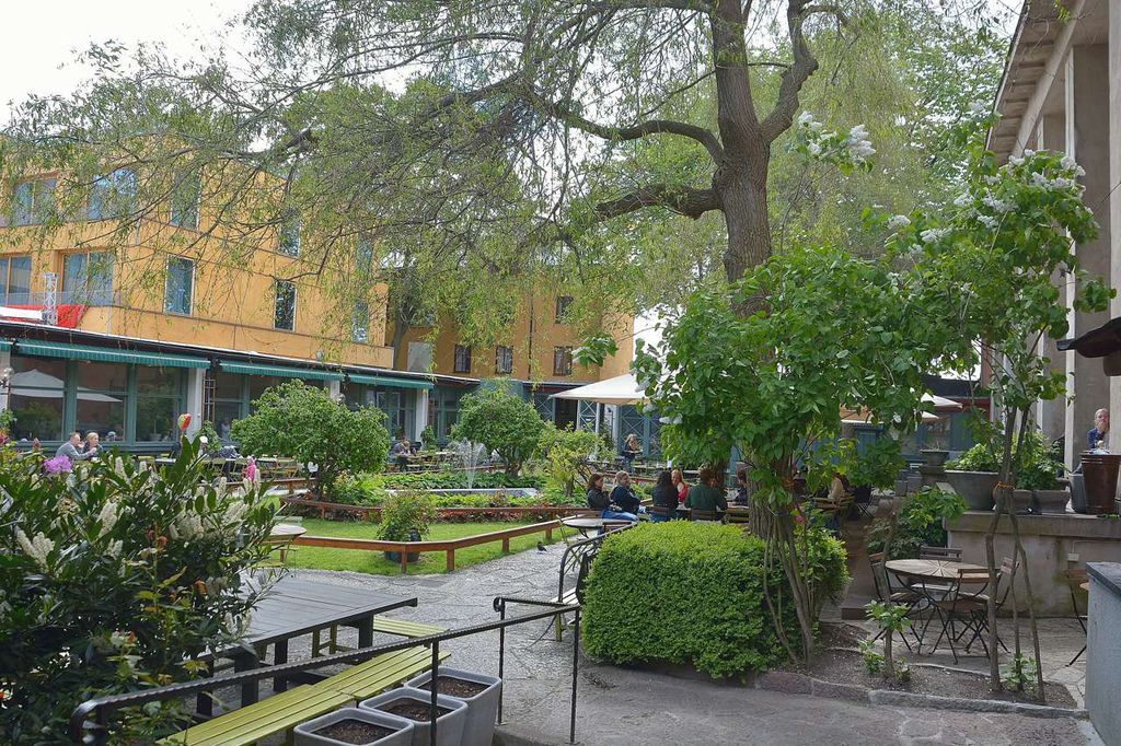 D15_3565_107 D15_3565_107