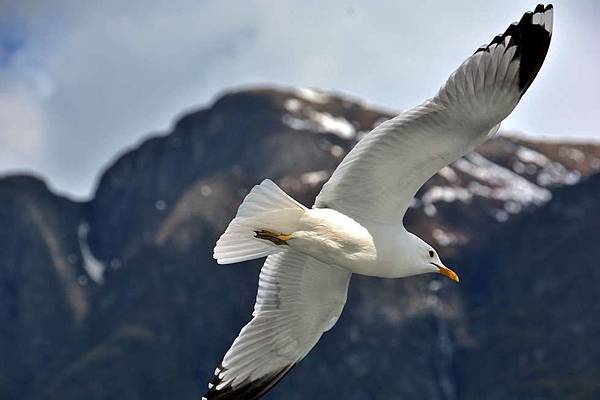 s_008_D15_6176 s_008_D15_6176