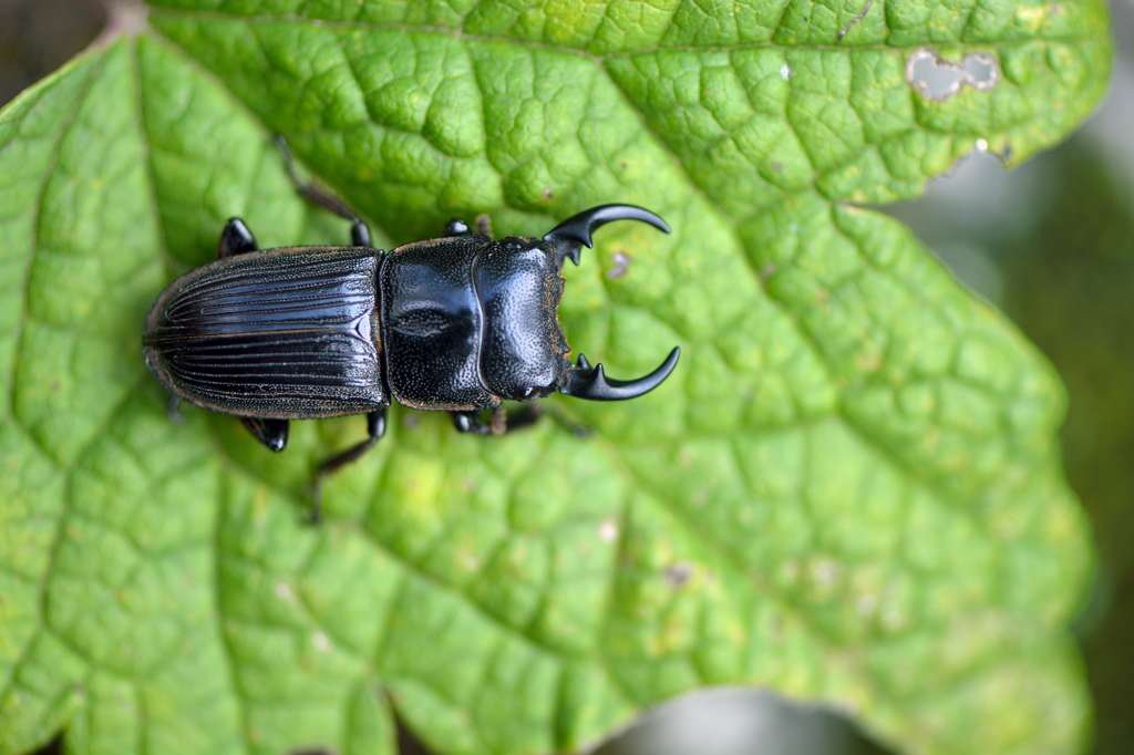 J18_0864_002.jpg J18_0864_002.jpg