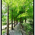 小步道