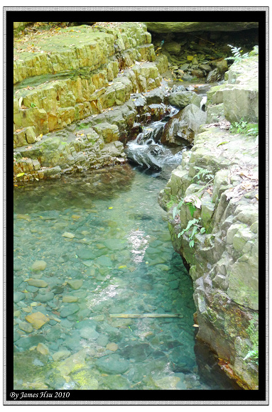 這個水池比較大
