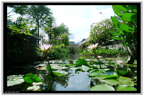 蓮花池低空拍