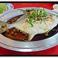 白鯧魚