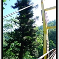 吊橋側面照再一張