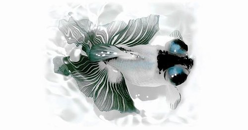 水墨金魚.jpg