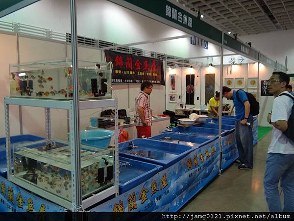 2014台灣觀賞魚博覽會_01.JPG