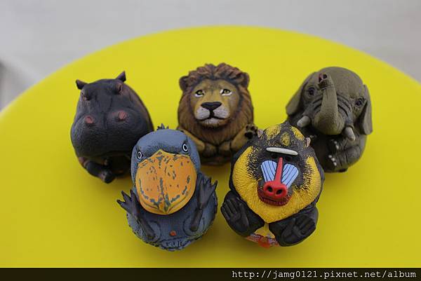 模型玩具 圓圓可愛動物非洲篇 25 Jpg 水色漂泊的相簿 痞客邦