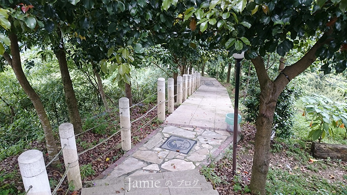 南投景觀台步道.jpg