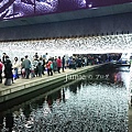 Taichung-waterfront_11.jpg