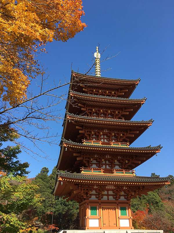 天橋立 成相寺 驚豔不已的紅葉美景 小露手札 痞客邦